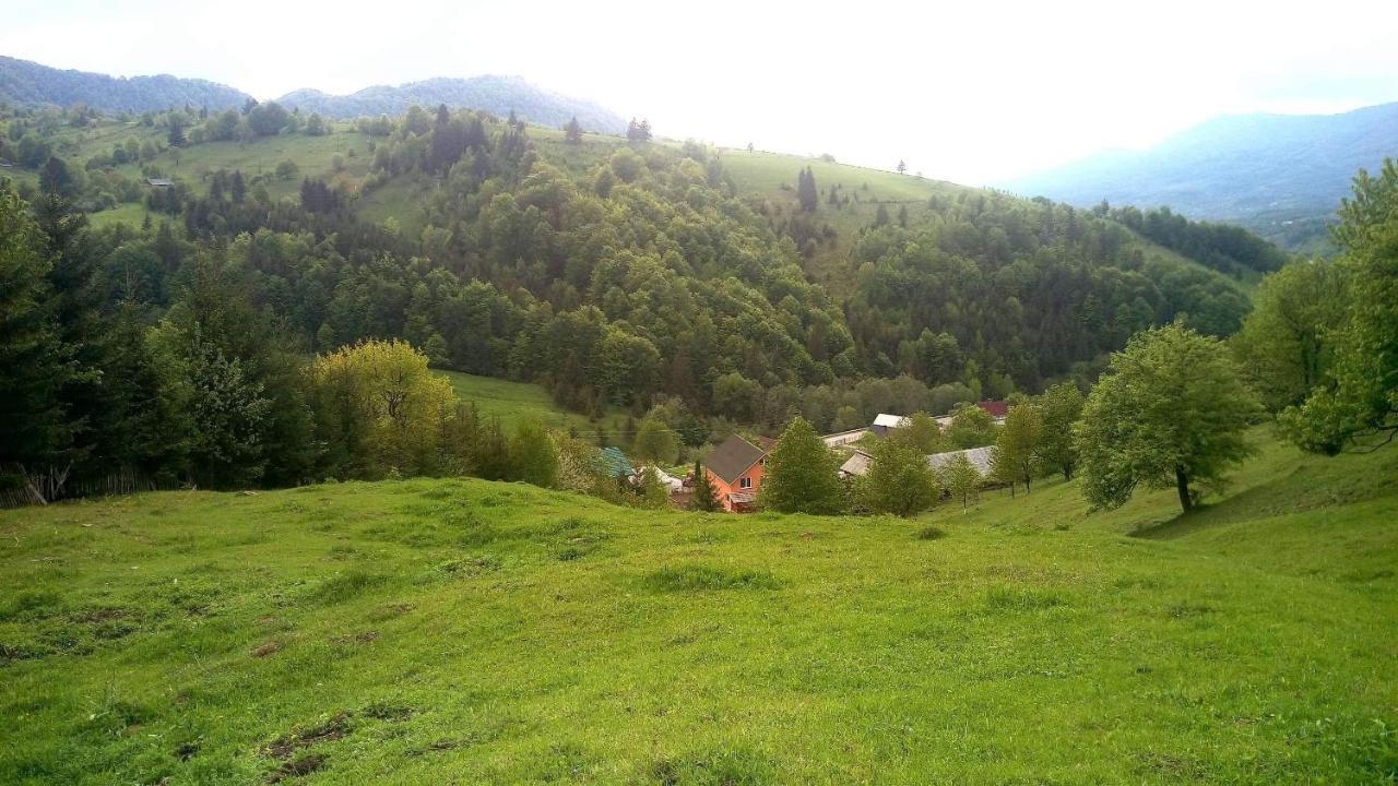 Casa Geanina Bed & Breakfast Colibita Exterior photo