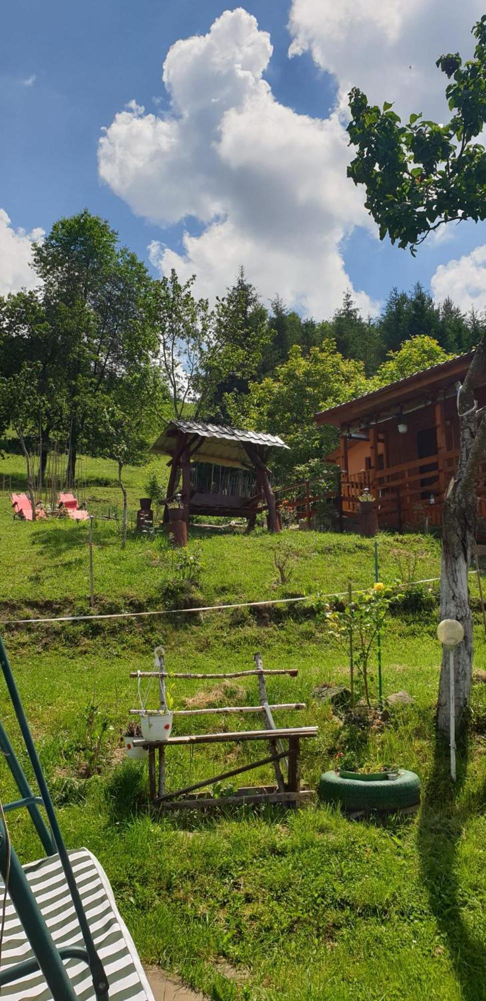 Casa Geanina Bed & Breakfast Colibita Exterior photo